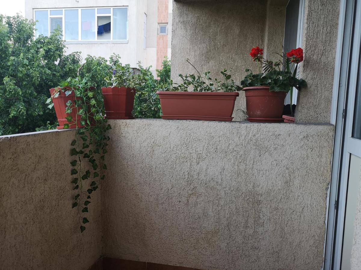 Apartament Anca Constanta Exterior photo